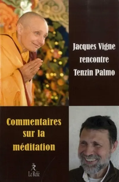 Commentaires sur la méditation : Jacques Vigne rencontre Tenzin Palmo : enseignements sur la spiritualité dans le quotidien