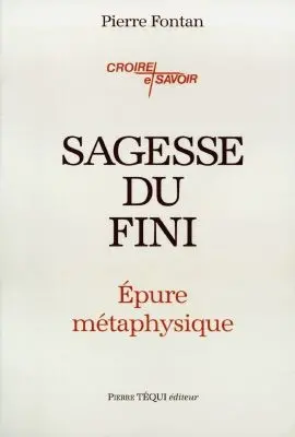 Sagesse du fini : épure métaphysique