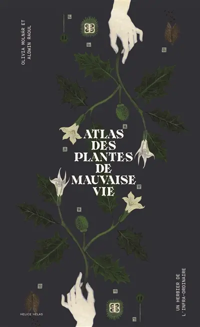 Plongez dans l’histoire des plantes « ordinaires » !