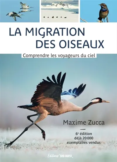 La migration des oiseaux : comprendre les voyageurs du ciel