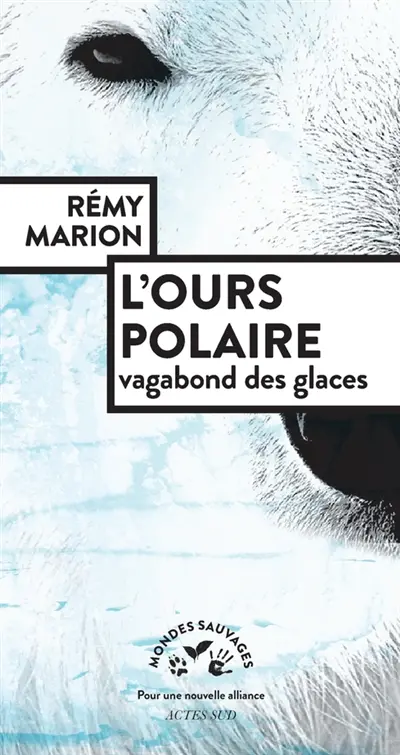 L'ours polaire : vagabond des glaces