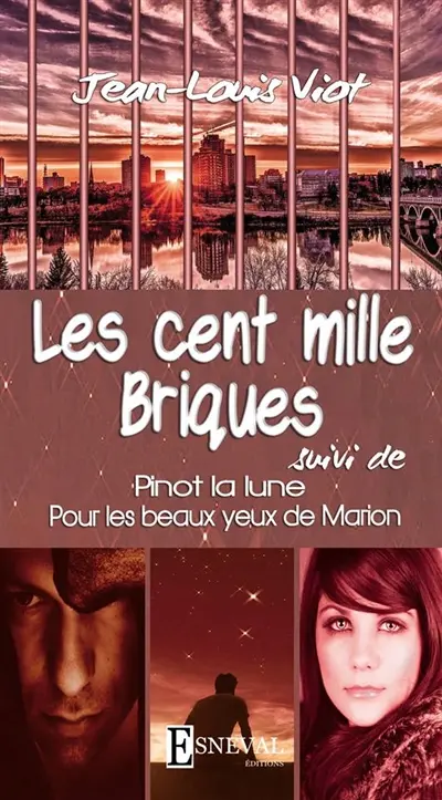 Les cent mille briques. Pinot la lune. Pour les beaux yeux de Marion