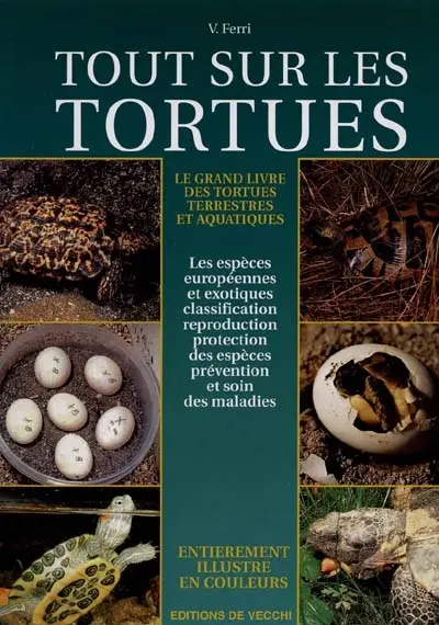 Tout sur les tortues