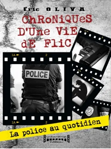 Chroniques d'une vie de flic : la police au quotidien