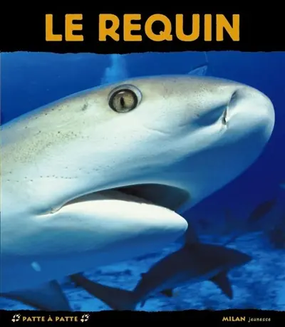 Le requin