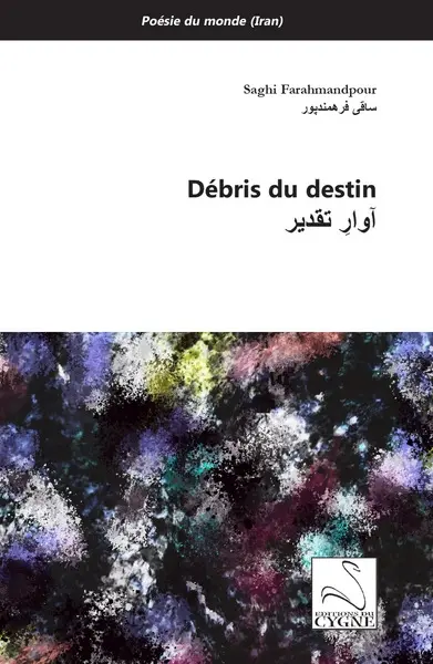 Débris du destin