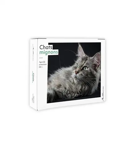 Semainier 2026 : Chats mignons