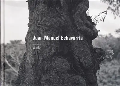 Juan Manuel Echavarria Works