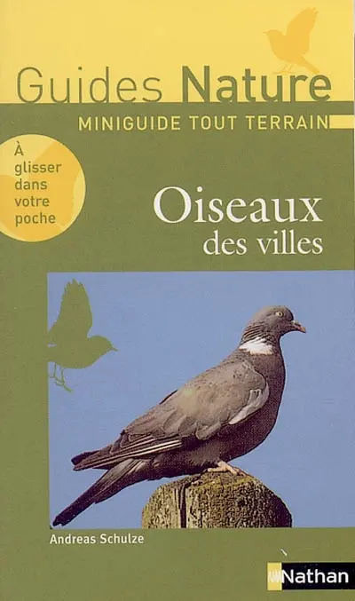 Oiseaux des villes