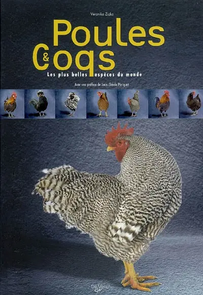 Poules & coqs : les plus belles espèces du monde