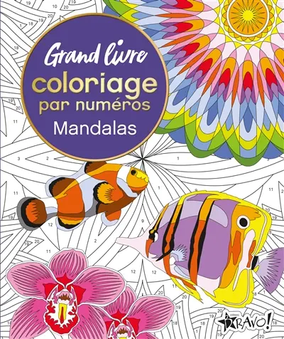 Grand livre de coloriage par numéros : Mandalas