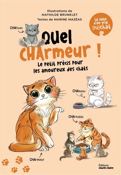Quel charmeur ! : le petit précis pour les amoureux des chats