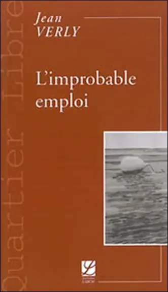 L'improbable emploi : du modèle à la réalité