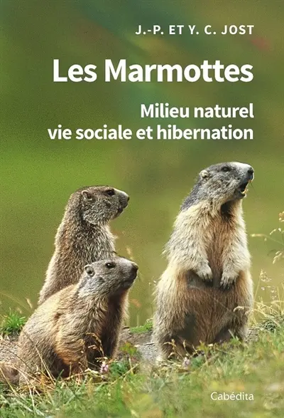 Les marmottes : milieu naturel, vie sociale et hibernation