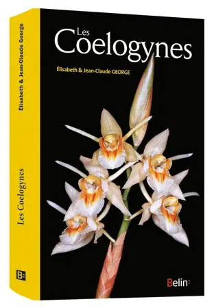 Les coelogynes
