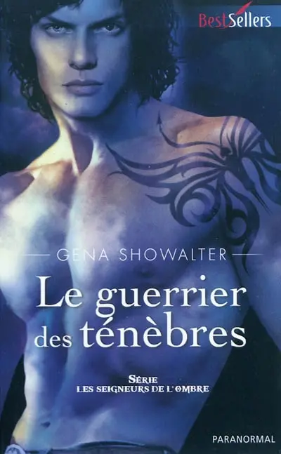 Le guerrier des ténèbres : les seigneurs de l'ombre