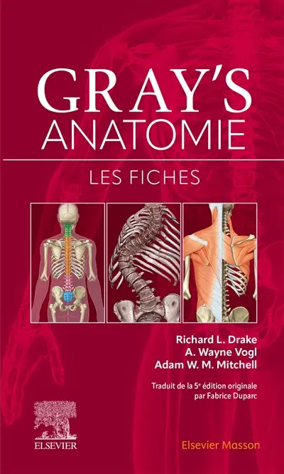 Gray's anatomie : les fiches