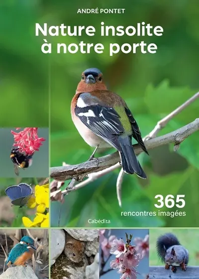 Nature insolite à notre porte : 365 rencontres imagées