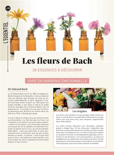 Fleurs de Bach : 38 essences à découvrir