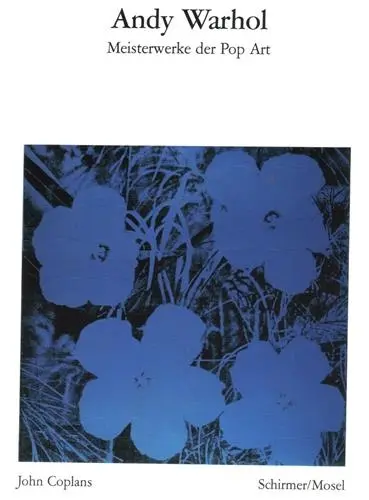 Andy Warhol (Bibliotheque Visuelle)