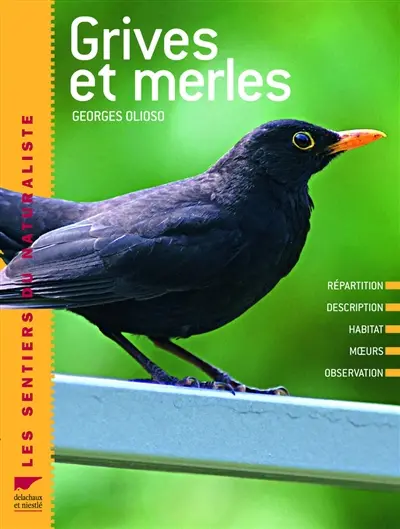 Grives et merles