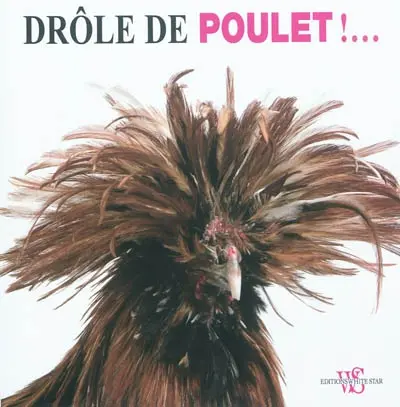 Drôle de poulet !...