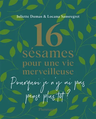 16 sésames pour une vie merveilleuse : pourquoi je n'y ai pas pensé plus tôt ?