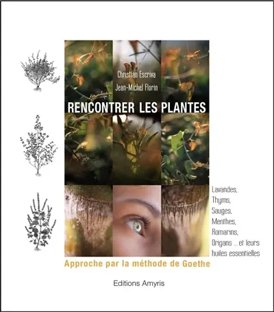 Rencontrer les plantes : approche par la méthode de Goethe : lavandes, thyms, sauges, menthes, romarins, origans... et leurs huiles essentielles