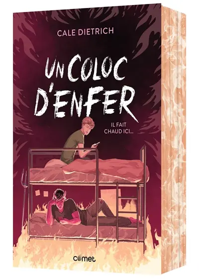 Un coloc d'enfer
