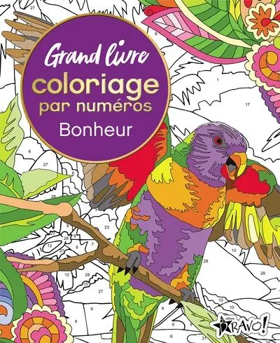 Grand livre de coloriage par numéros : Bonheur