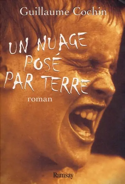 Un nuage posé par terre