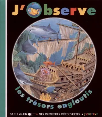 J'observe les trésors engloutis