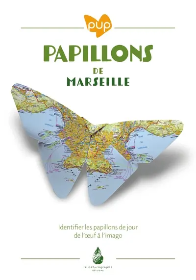 Papillons de Marseille : identifier les papillons de jour : de l'oeuf à l'imago