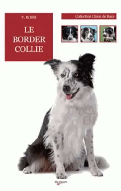 Le border collie